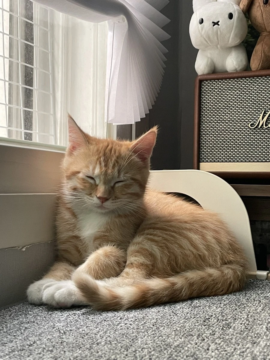 FGIjAA3UcAEN7hQ.jpg?type=w1