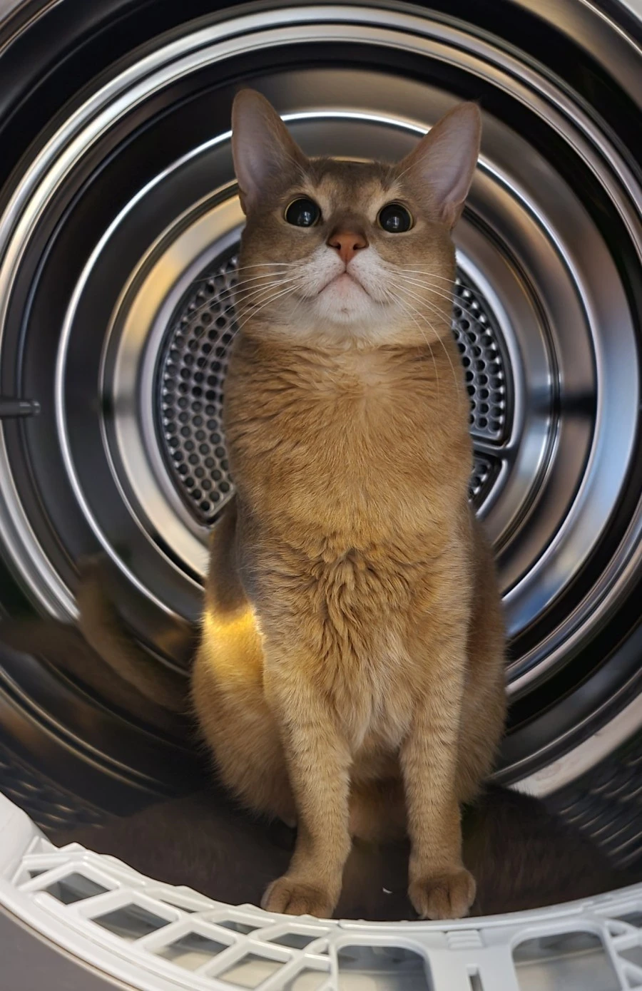 E3Rwt7cVoAAIqEL.jpg?type=w1