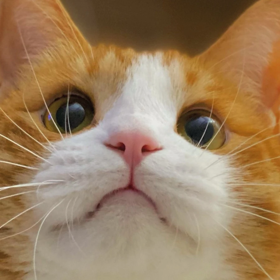 E9zvO28VkAQefAV.jpg?type=w1