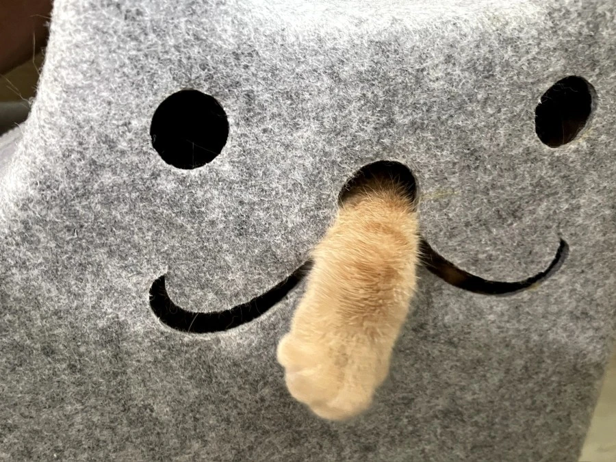 E9t_V7MVUAwcjpG.jpg?type=w1