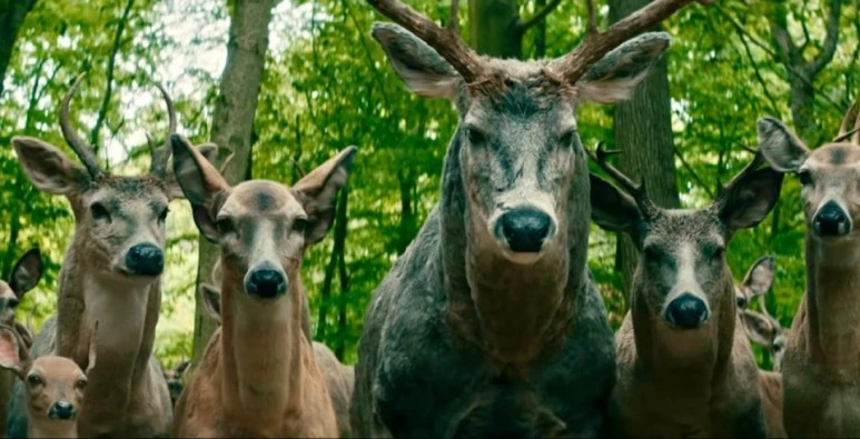 %EC%82%AC%EC%8A%B4.jpg?type=w773