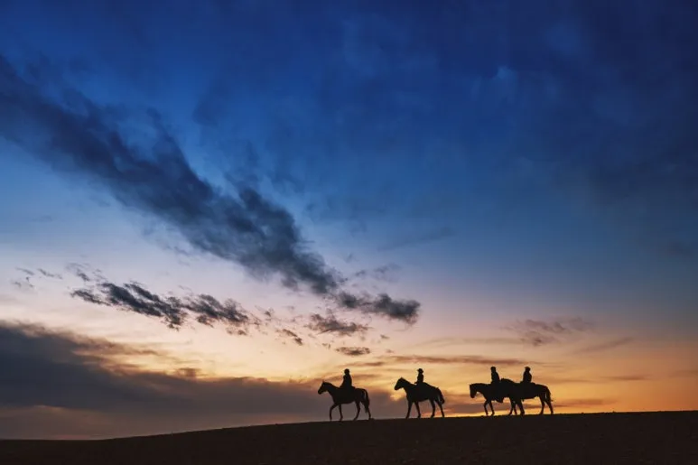 common_(74).jpg?type=w773