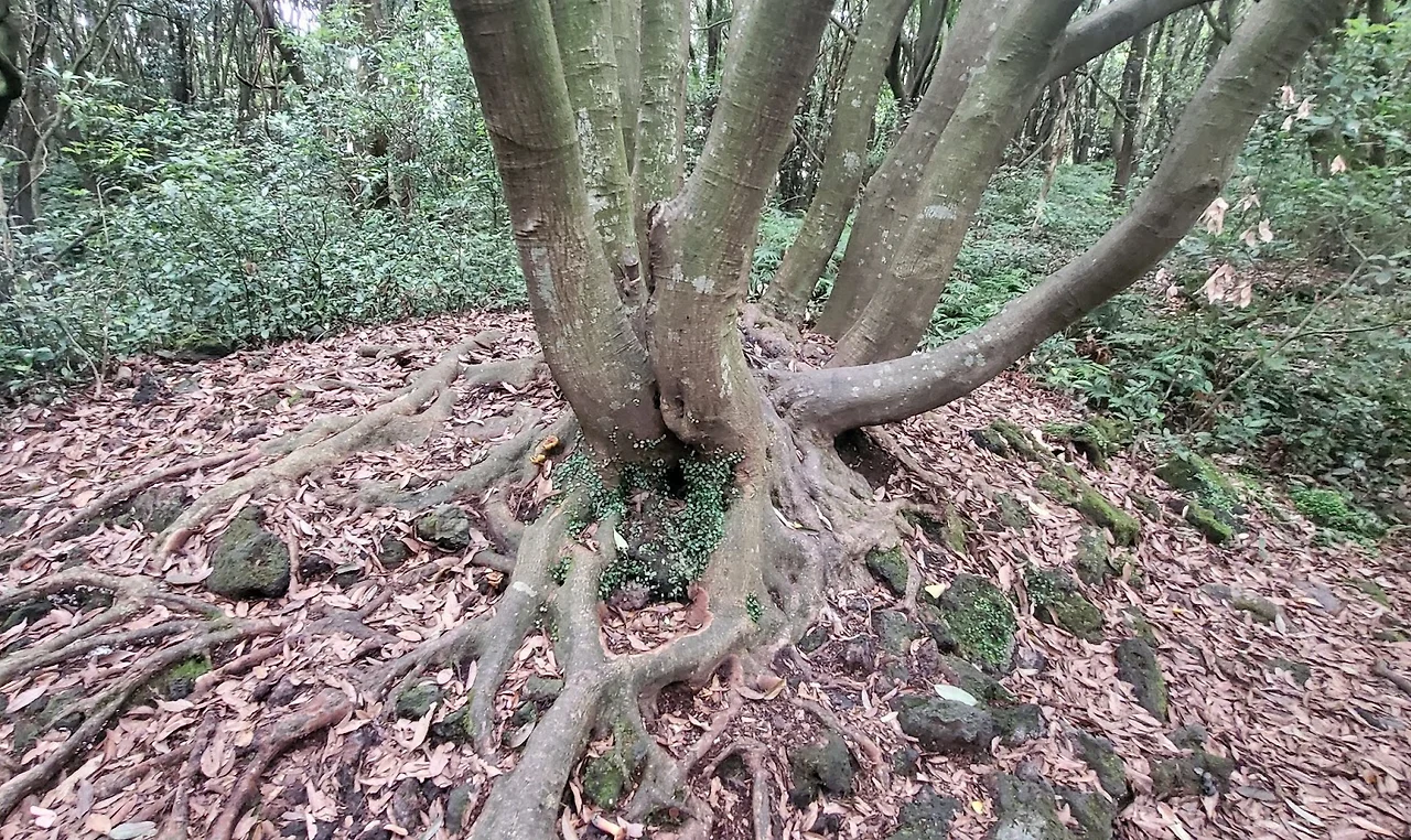 CMO61SbzxvfaazOnnUMfJ36qLBApcsCv71cTKKa_Rf15NEV_jxn4busVcm6szIALEkX7Ndy3lbuahr0EoO7EyqZlyKbMxVMAfrpvXSGcyhjKCq0qiphKR2lTVg68mPOxq2qoKhfBY6lGWLqEoffdvtA