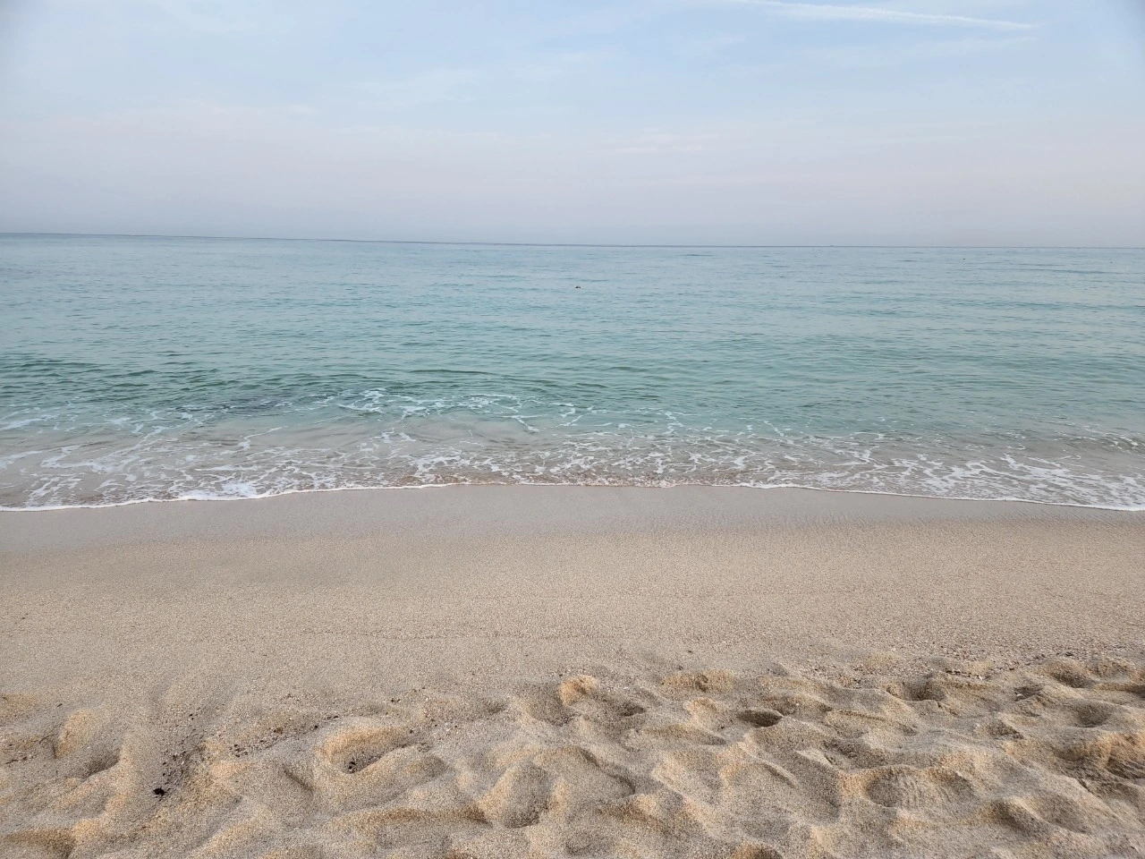 Ka7LvfHoZ3gzgry731PmS29Otn0