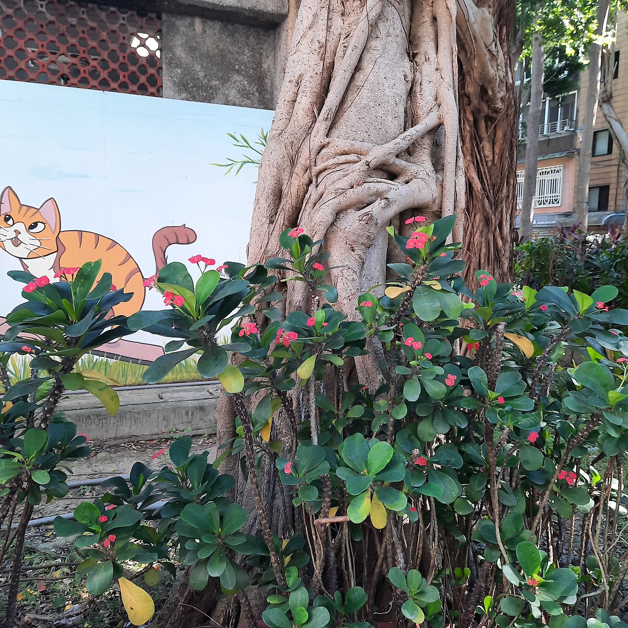 1jRzEVZWBYS42X0k4VEQtYl_Y3o