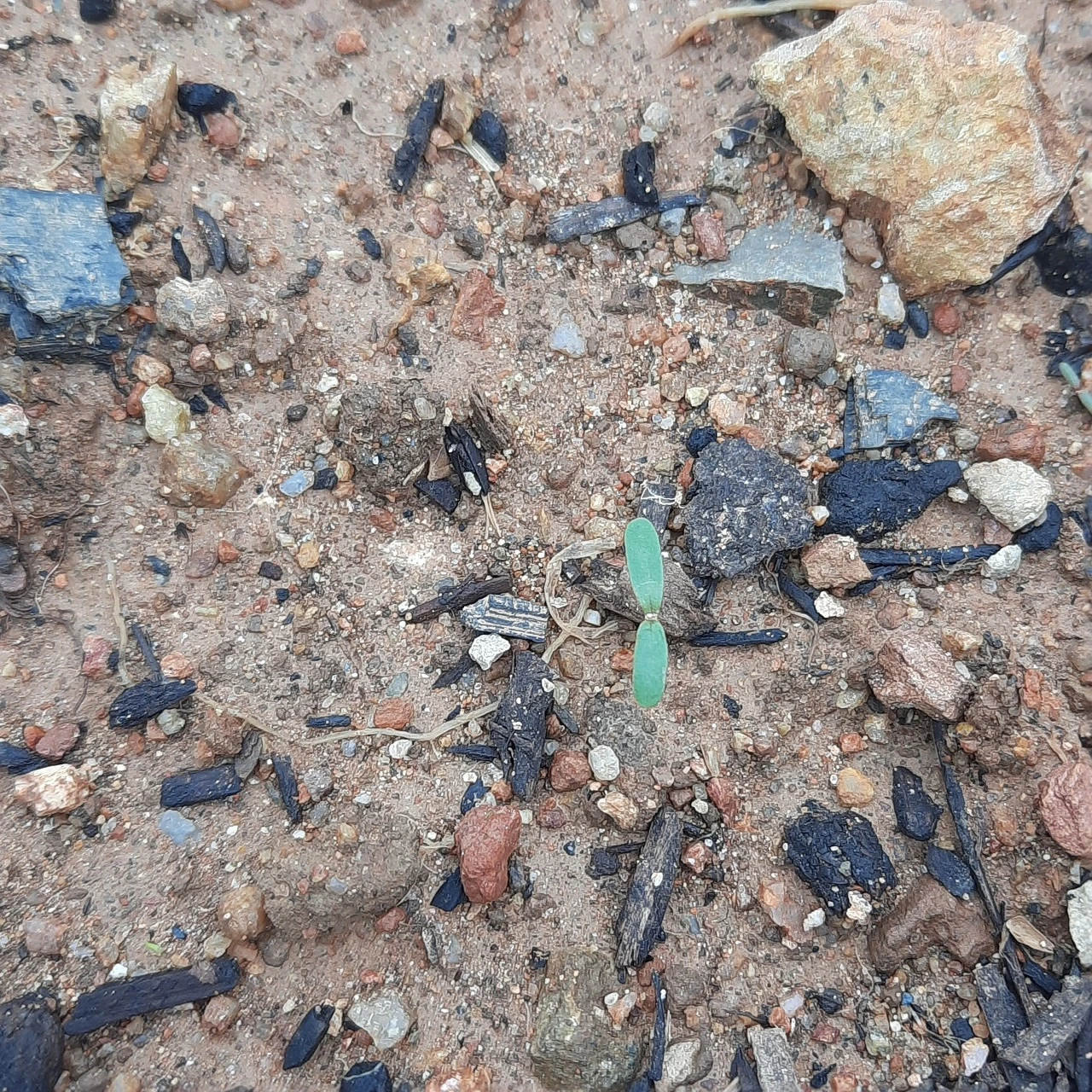 4r7iEzTmz8cw2-dVqwwqrOYYaA4