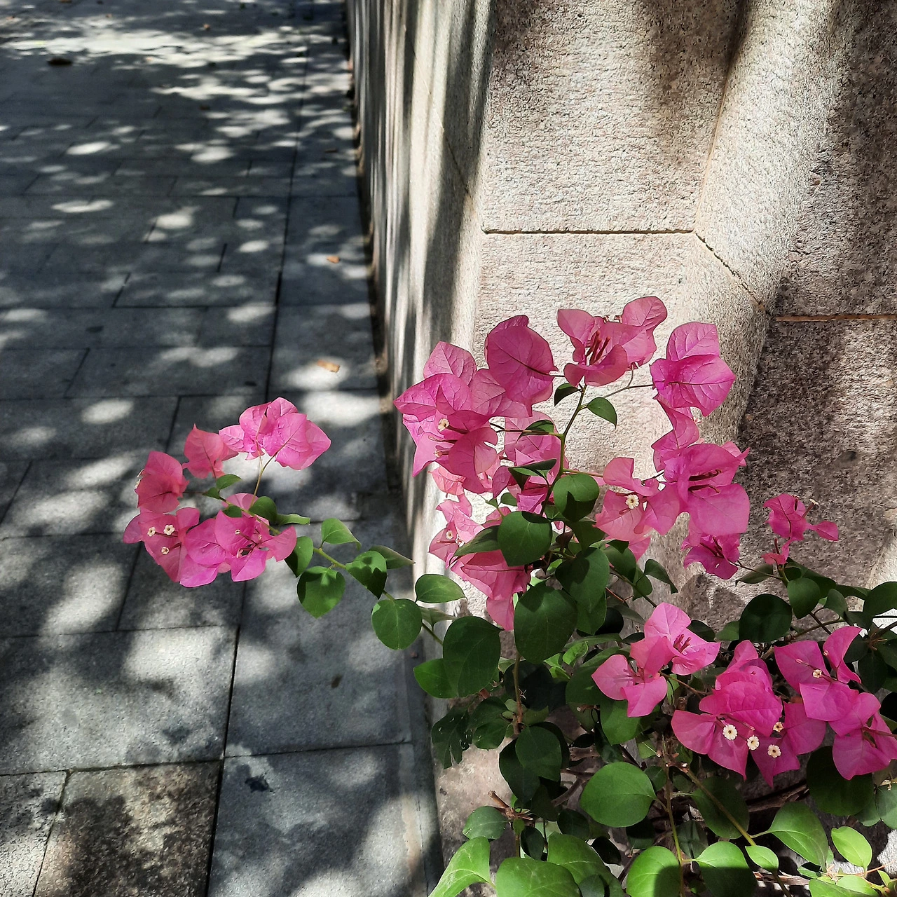 Xkn_mSxs5U2iiDGuqu45N2bRR9o