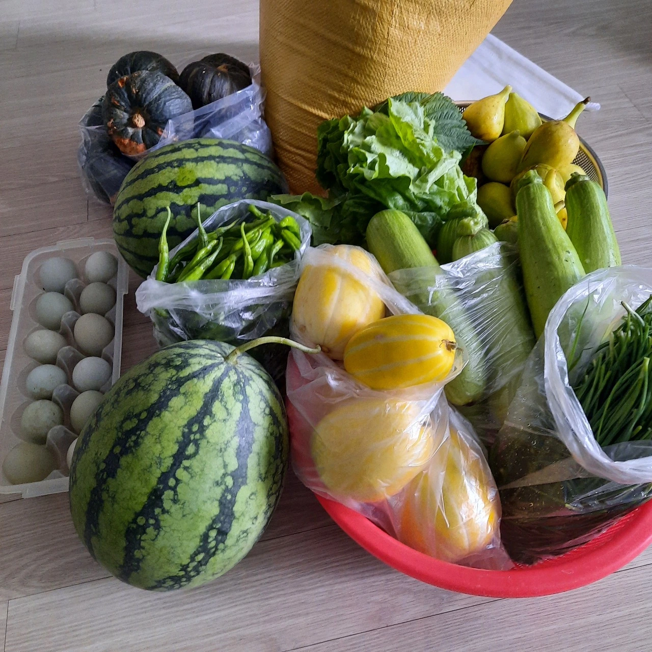 Kjq3x6jRVFiHizZjTGw8-D6p2IU