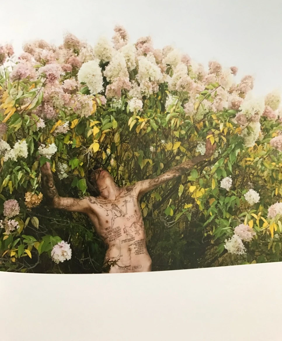 se3_image_2638253751.jpg?type=w966