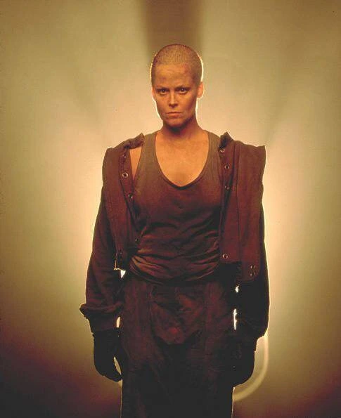 attachImage_1498182682.jpeg?type=w966