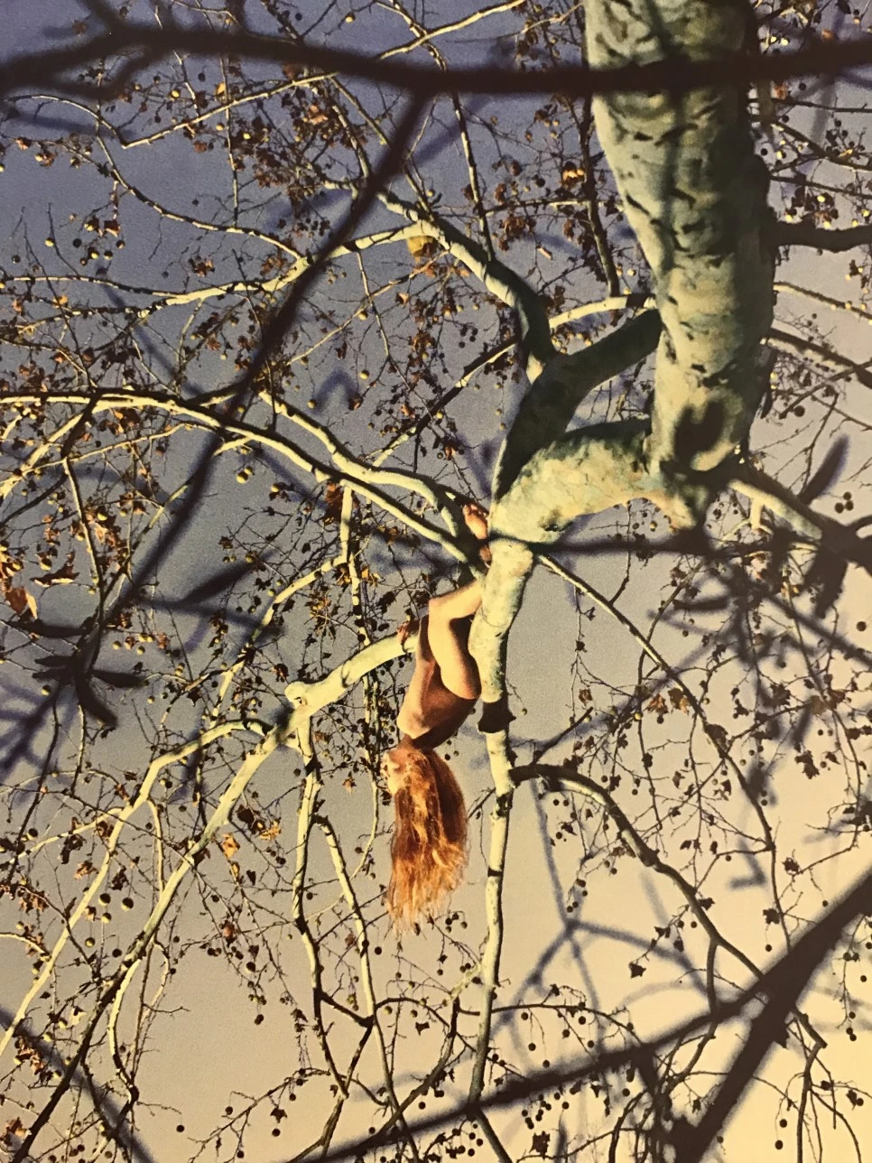 IMG_5876.JPG?type=w966