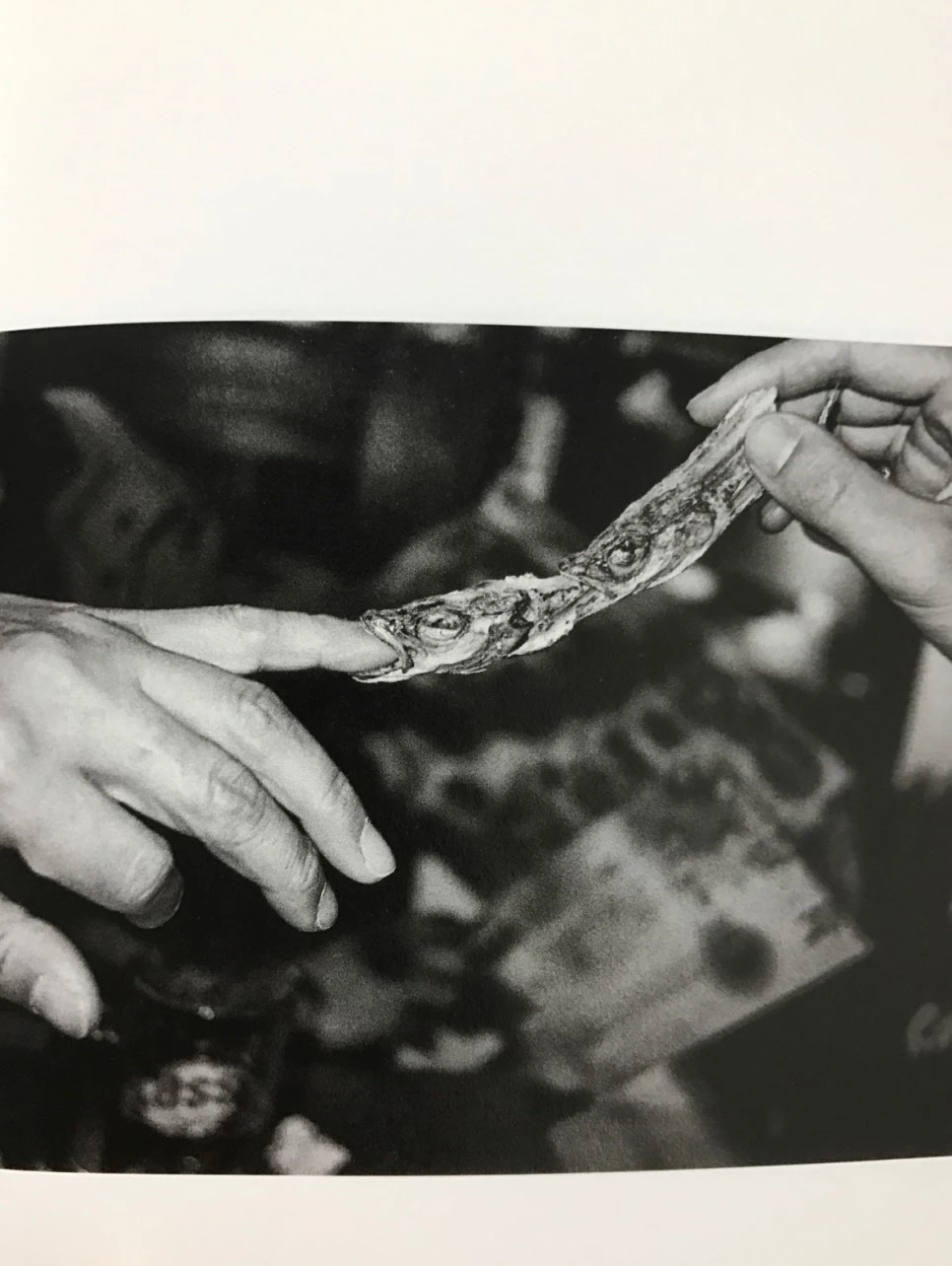 se3_image_1977064722.jpg?type=w966