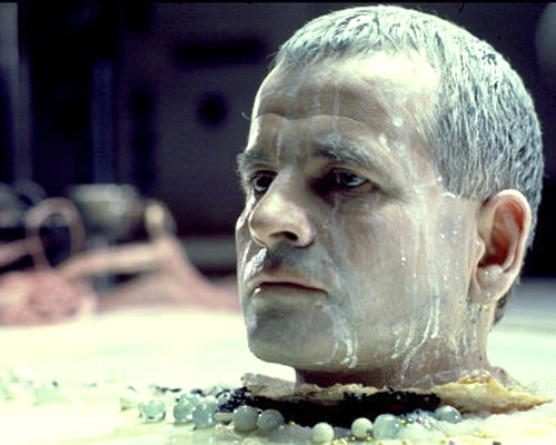 54654645.jpg?type=w1