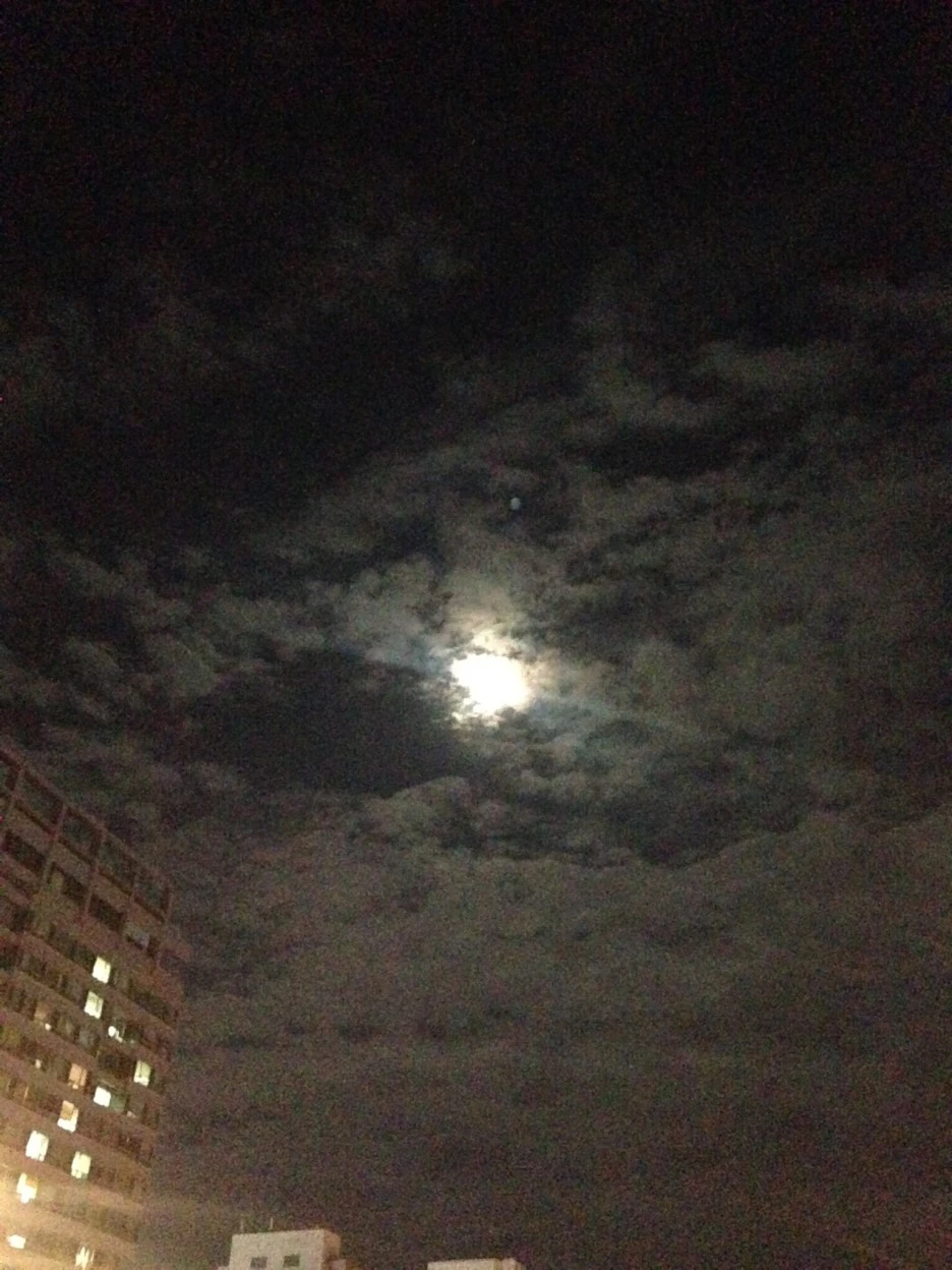 NaverBlog_20150531_020725_34.jpg?type=w1