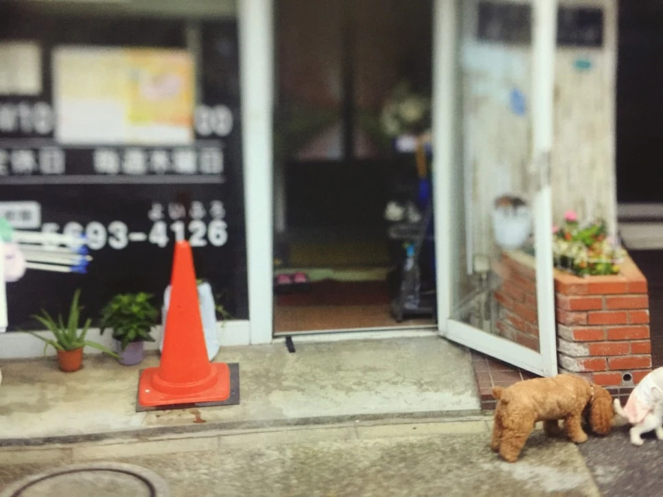 attachImage_1421922326.jpeg?type=w966