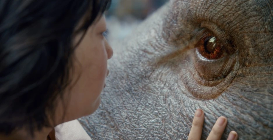 okja4.jpg?type=w1