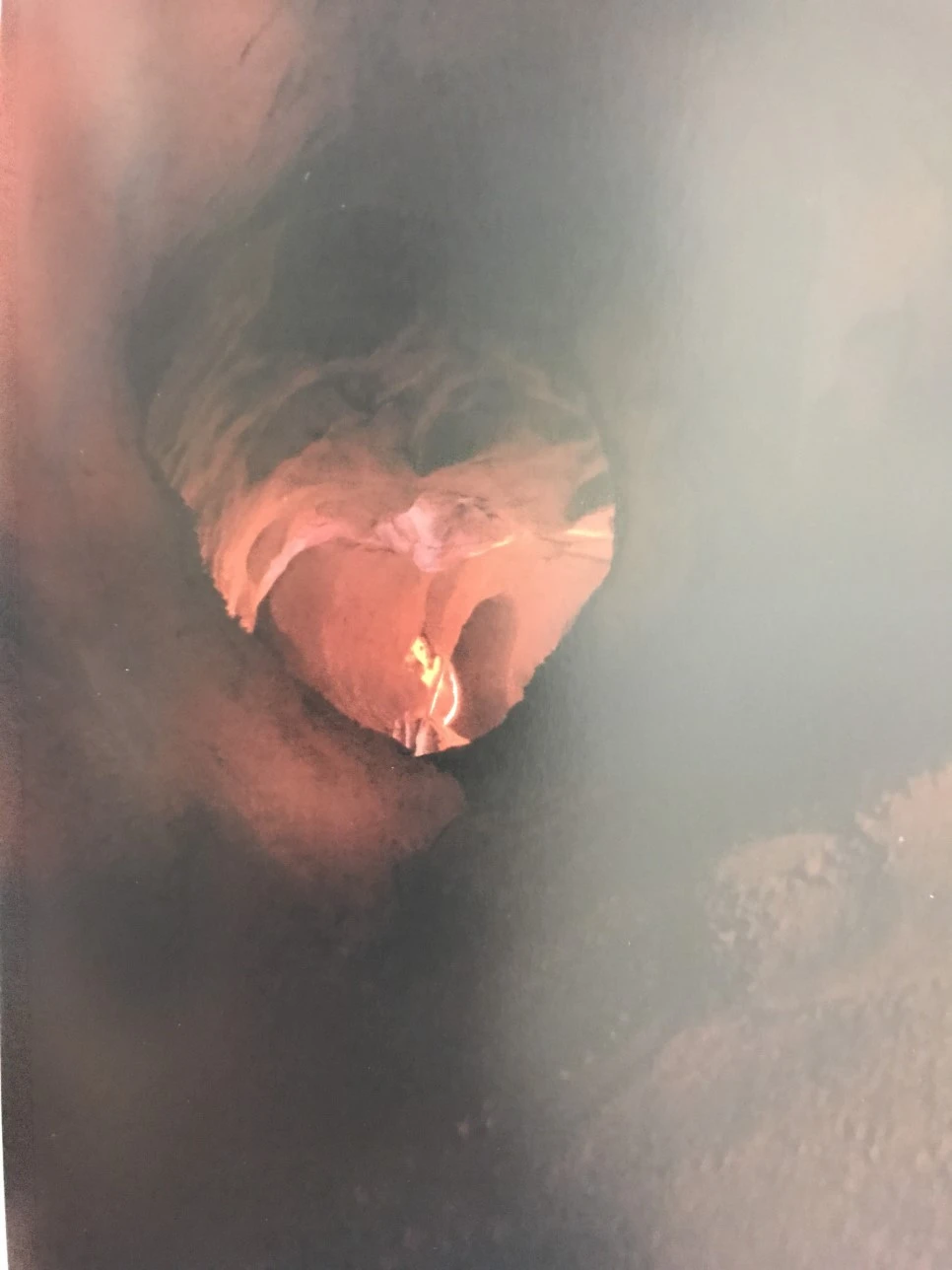 IMG_3993.JPG?type=w966