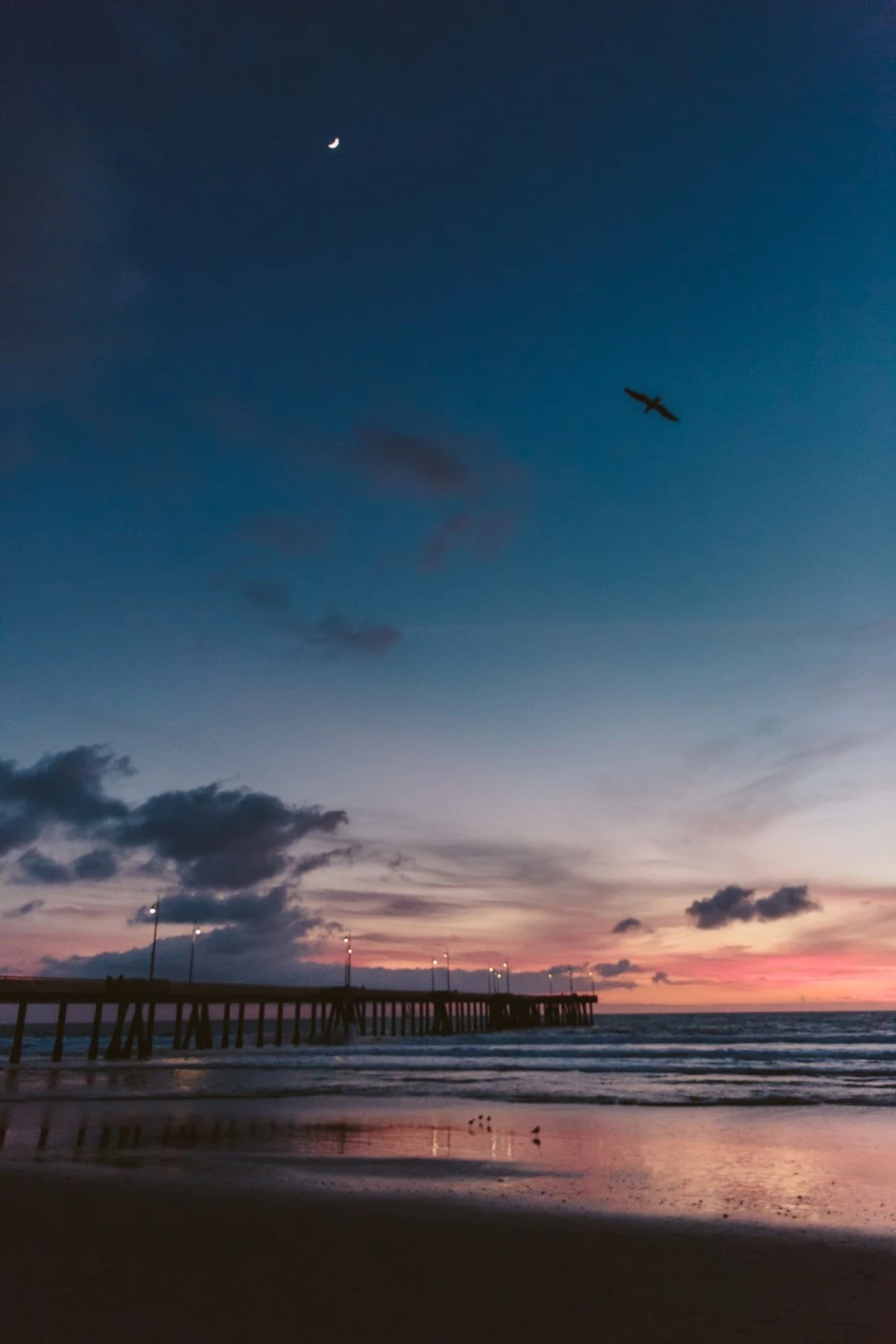 P20161210_022517000_5BC5F9B2-4B1A-426D-B490-B6682E73559B.JPG?type=w1