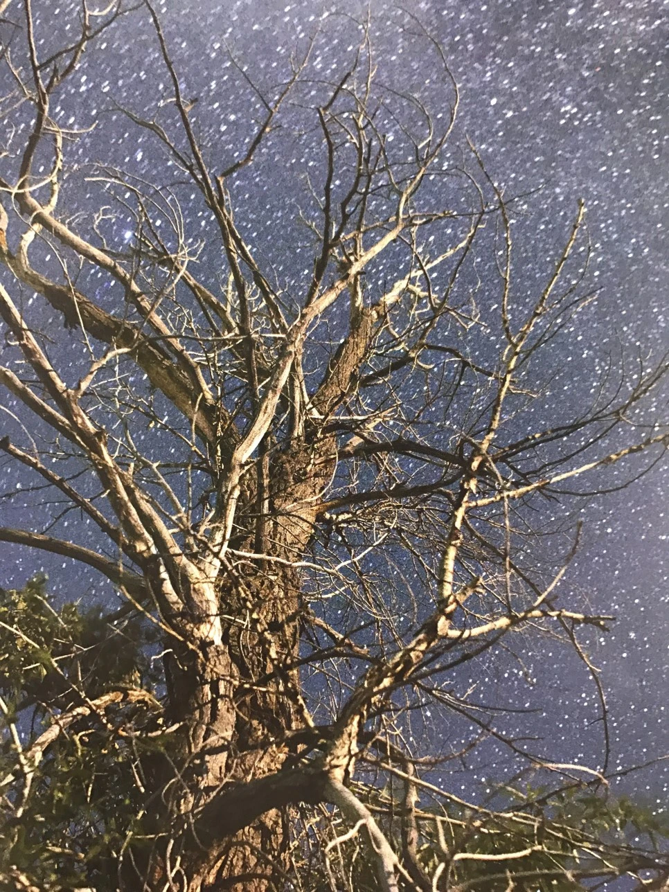 IMG_5885.JPG?type=w966