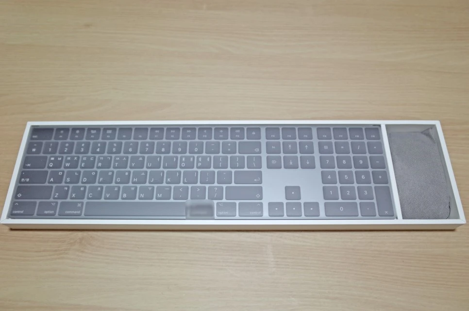 R0000204.JPG?type=w966