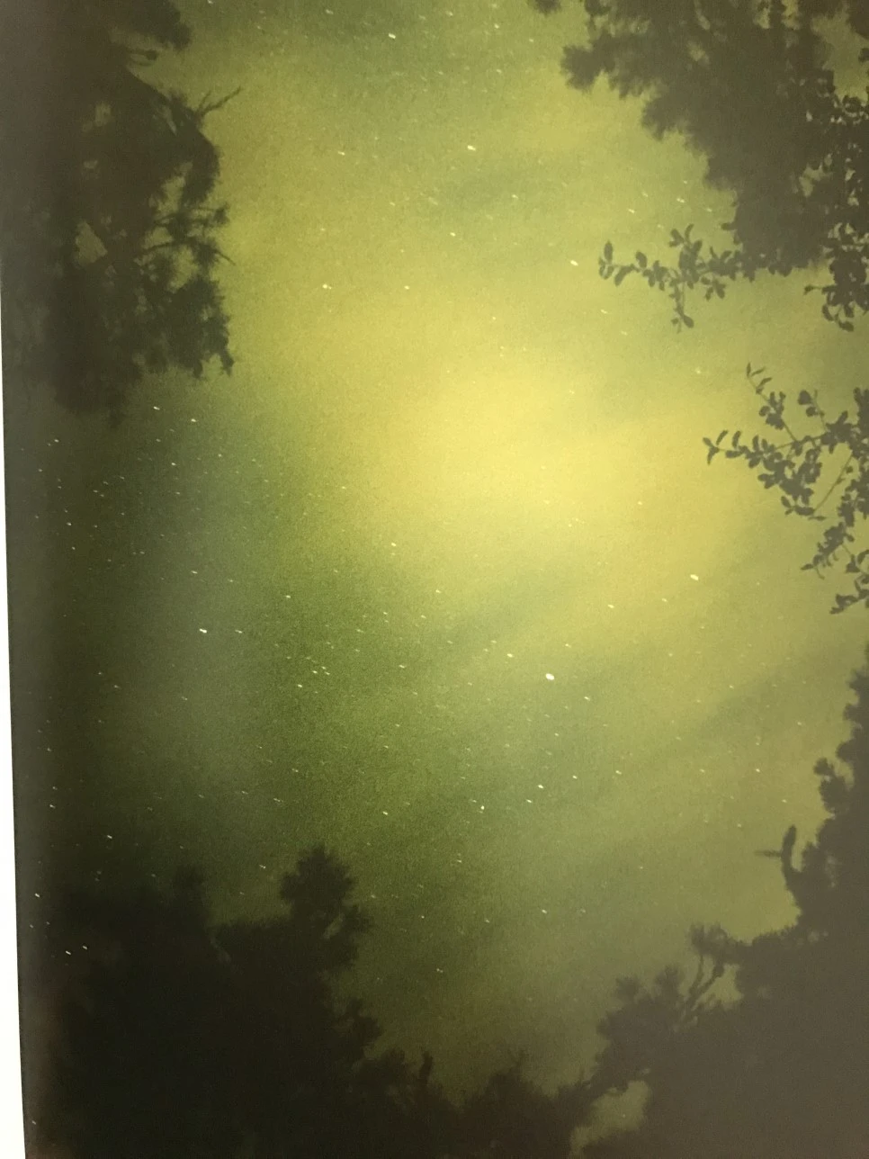 IMG_3969.JPG?type=w966