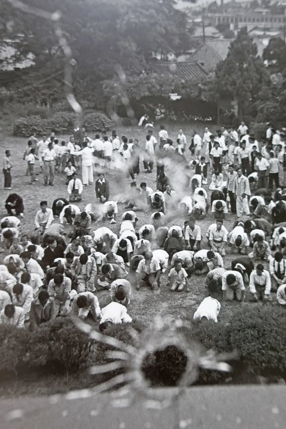 IMG_1152.JPG?type=w966