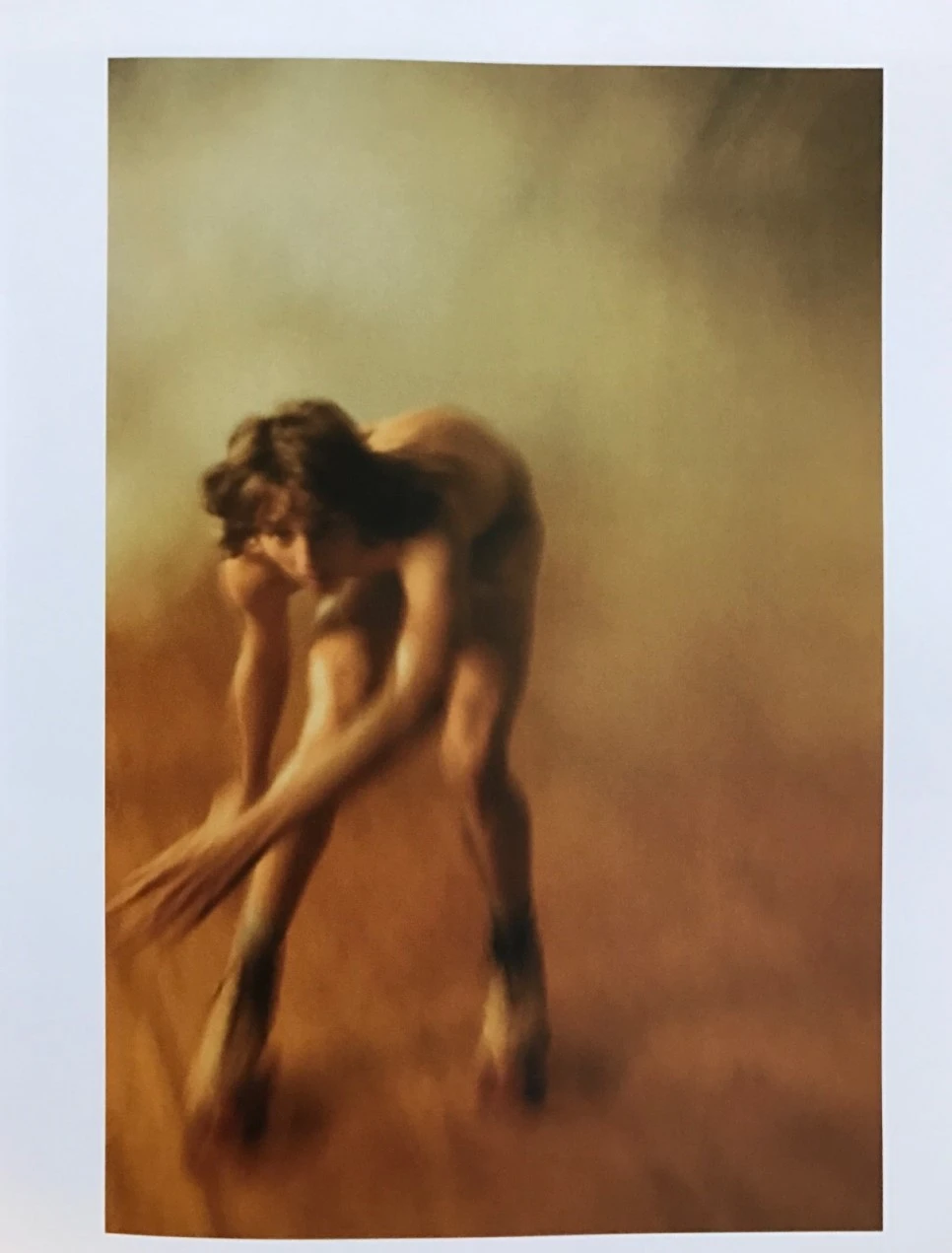 se3_image_3007005584.jpg?type=w966