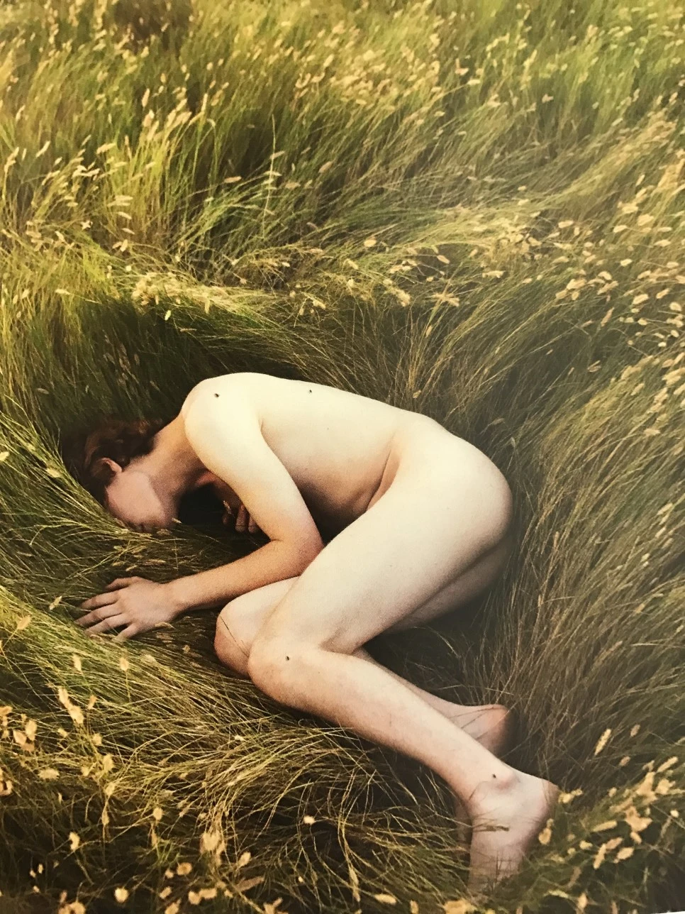 IMG_5929.JPG?type=w966