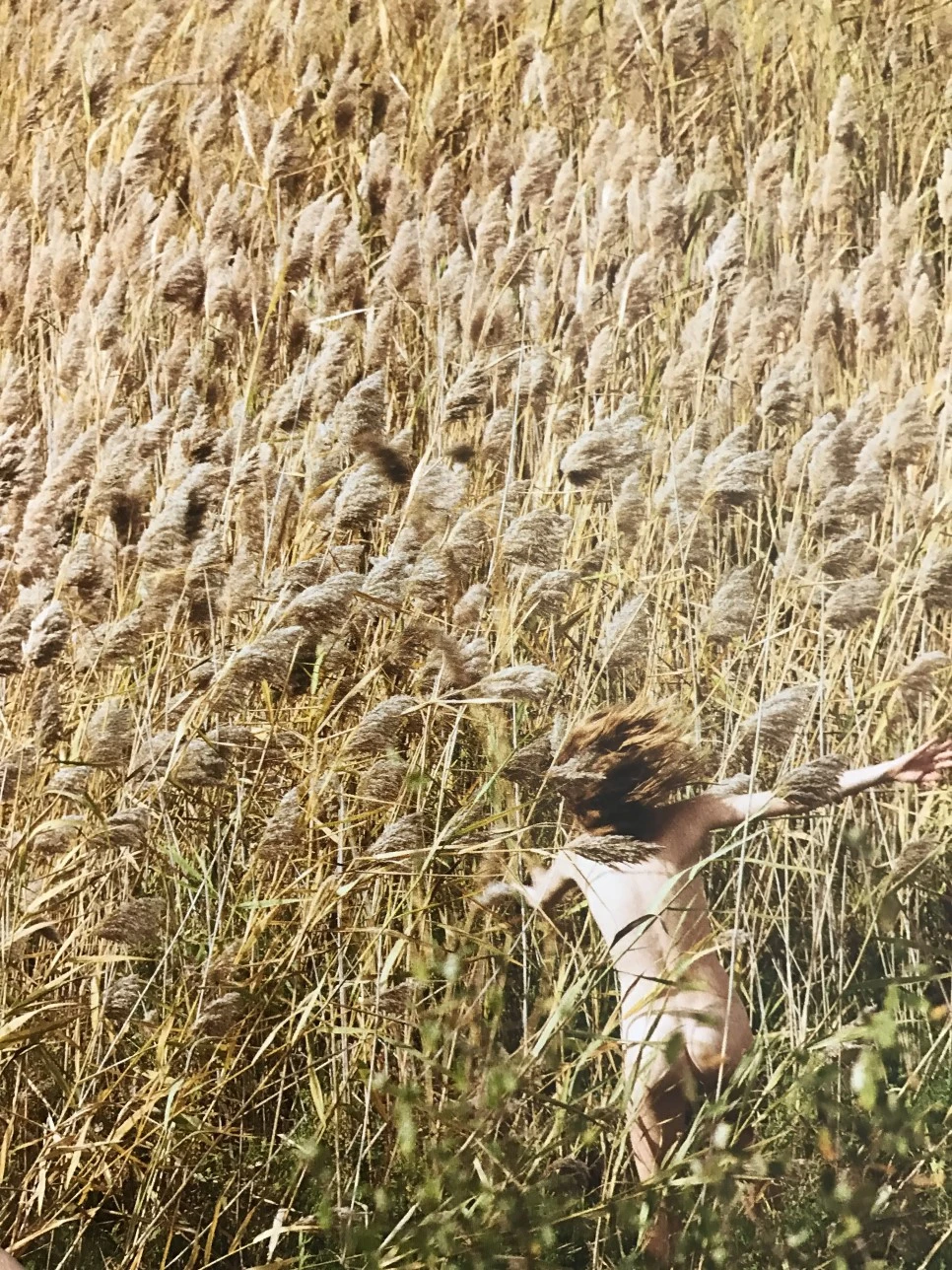 IMG_5914.JPG?type=w966