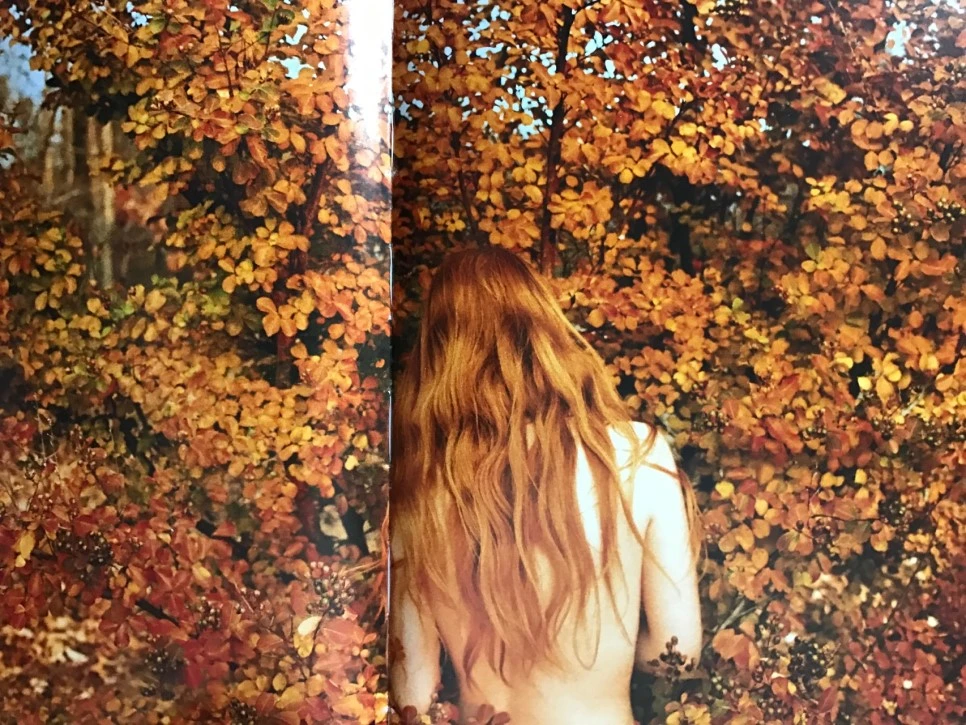 se3_image_3335986066.jpg?type=w966