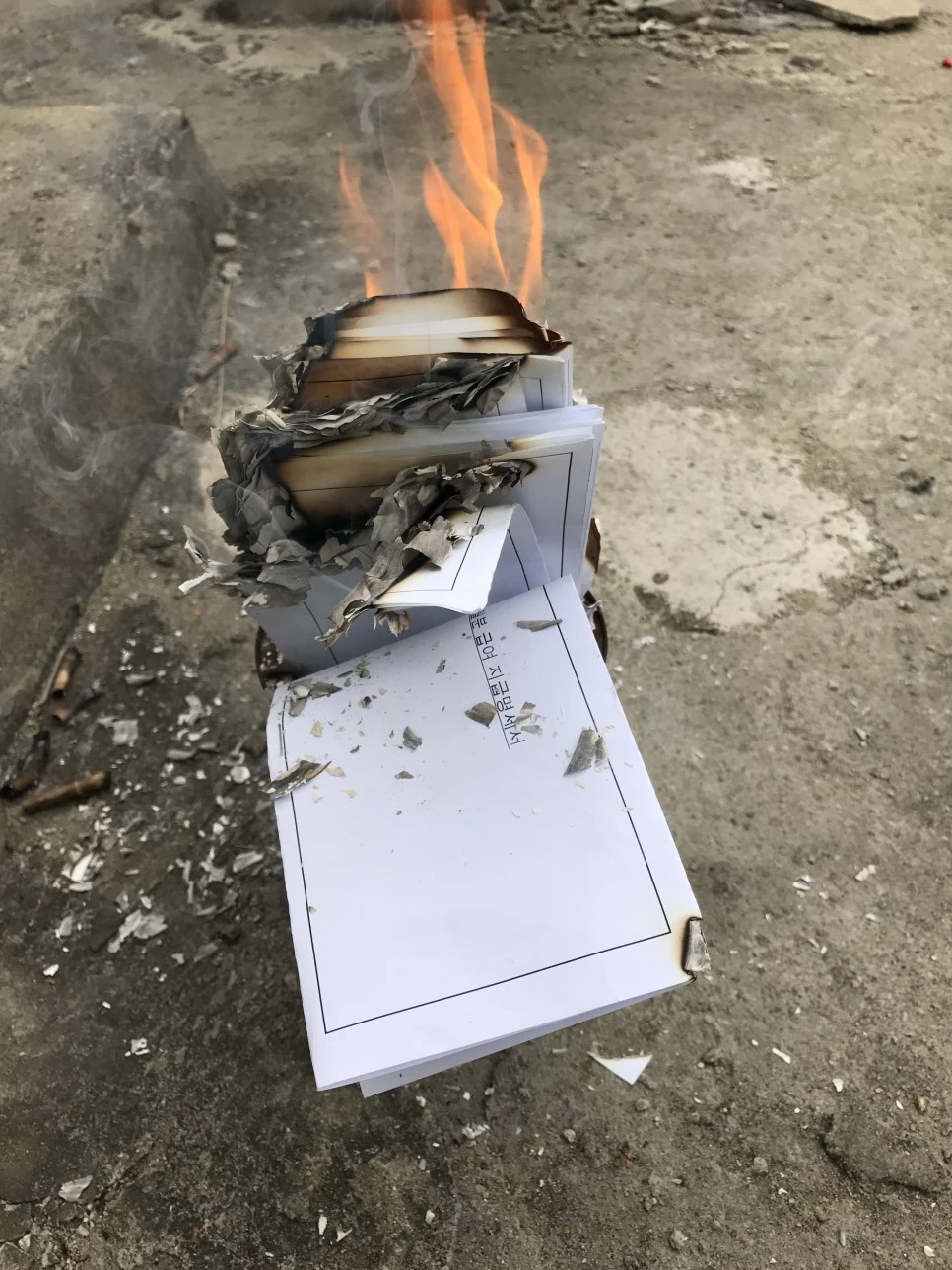 IMG_6600.JPG?type=w966