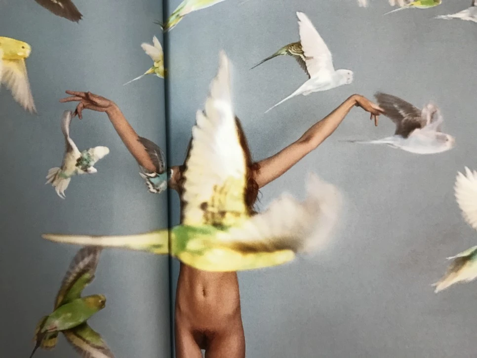 IMG_3956.JPG?type=w966