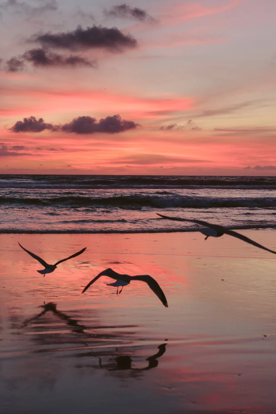 P20161210_022241000_A45C7729-66C8-40B6-B200-422A0AD90863.JPG?type=w1