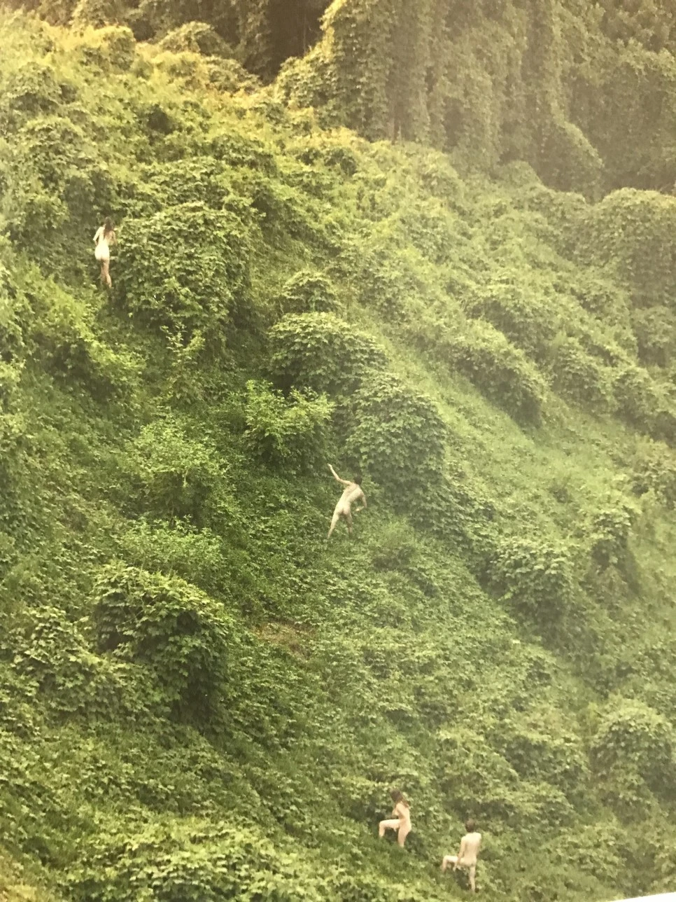 IMG_5920.JPG?type=w966