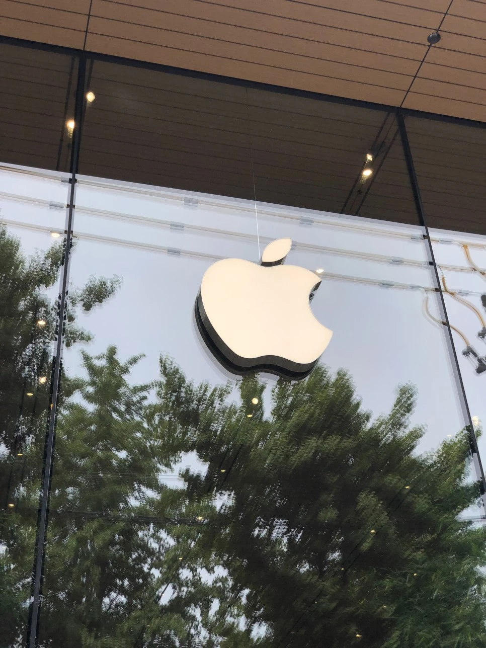 IMG_7776.JPG?type=w966