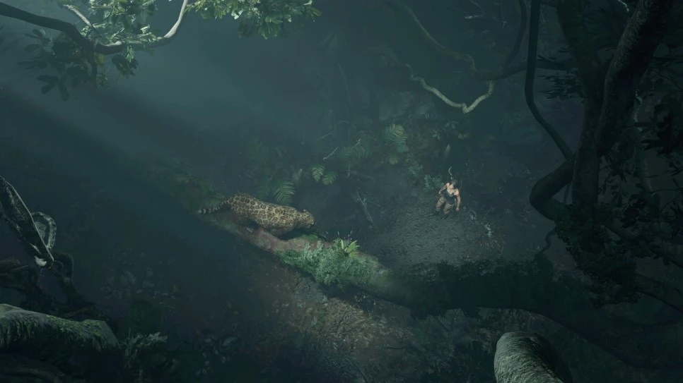 3472385980014518825_20180917094152002.JPG?type=w966