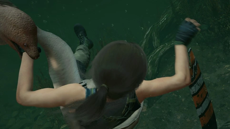 3472385980015359017_20180917094152000.JPG?type=w966