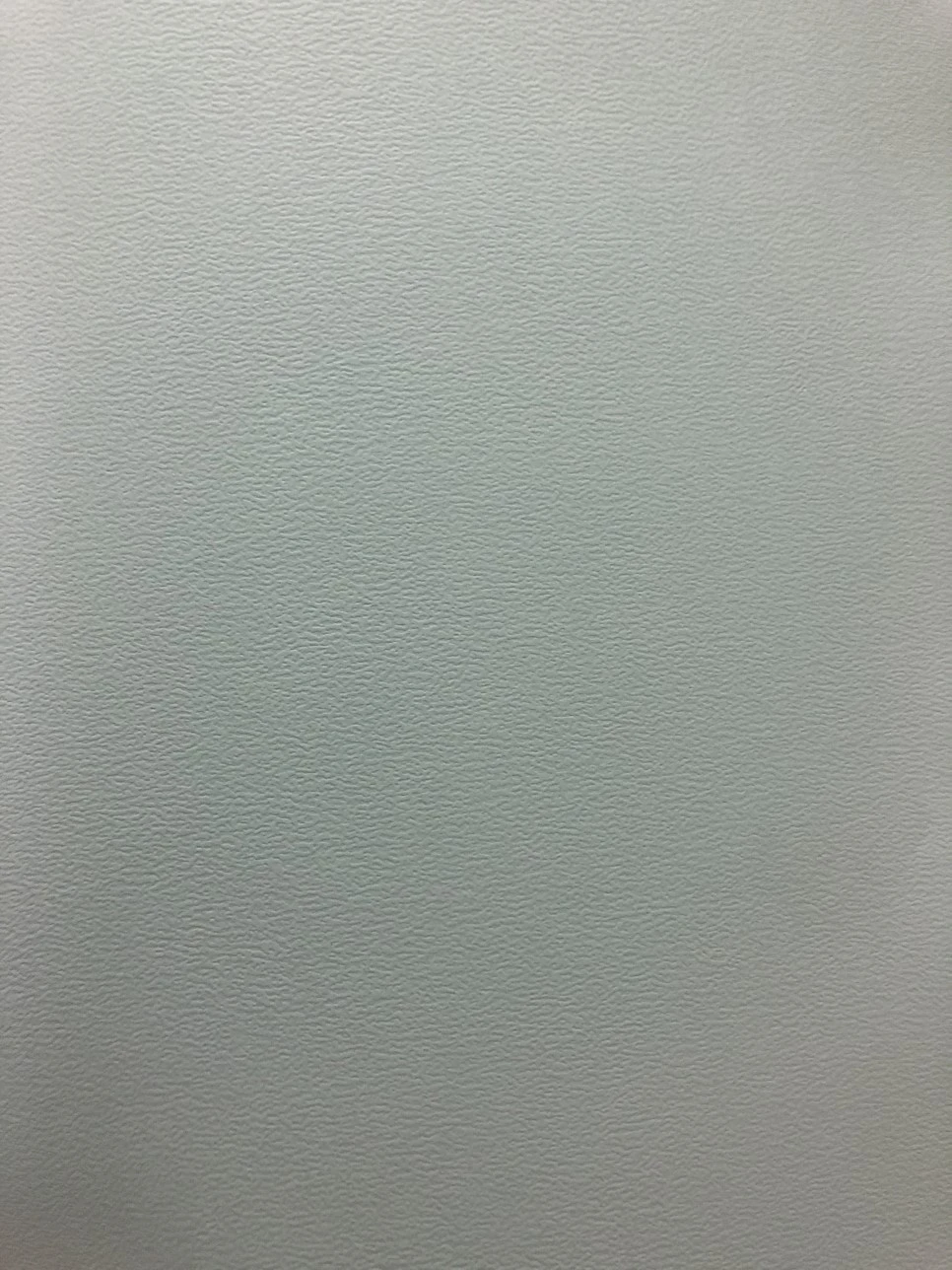 IMG_0311.JPG?type=w966