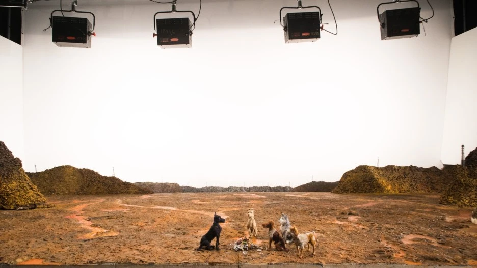 43243234234.jpg?type=w1