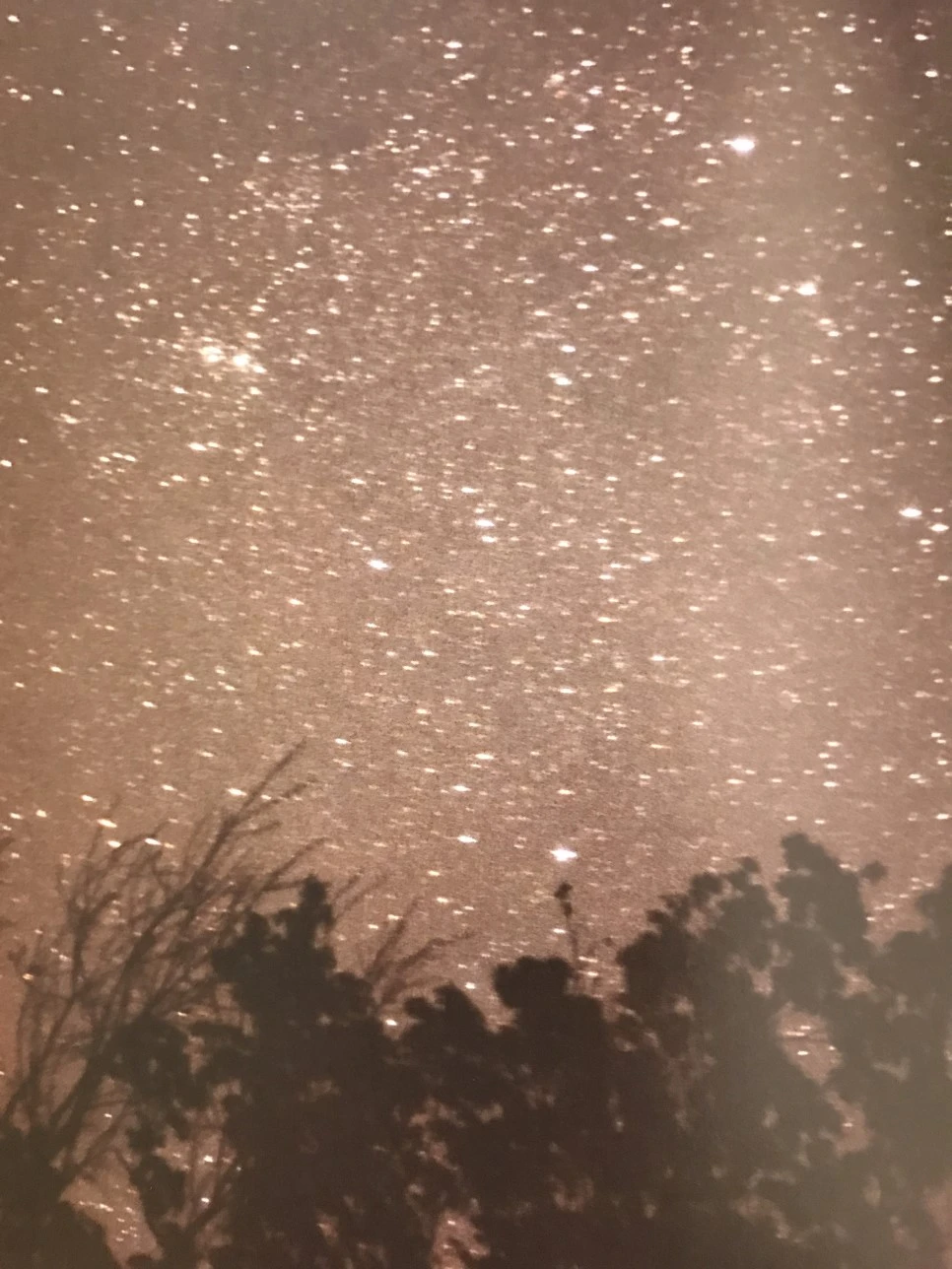 IMG_4006.JPG?type=w966