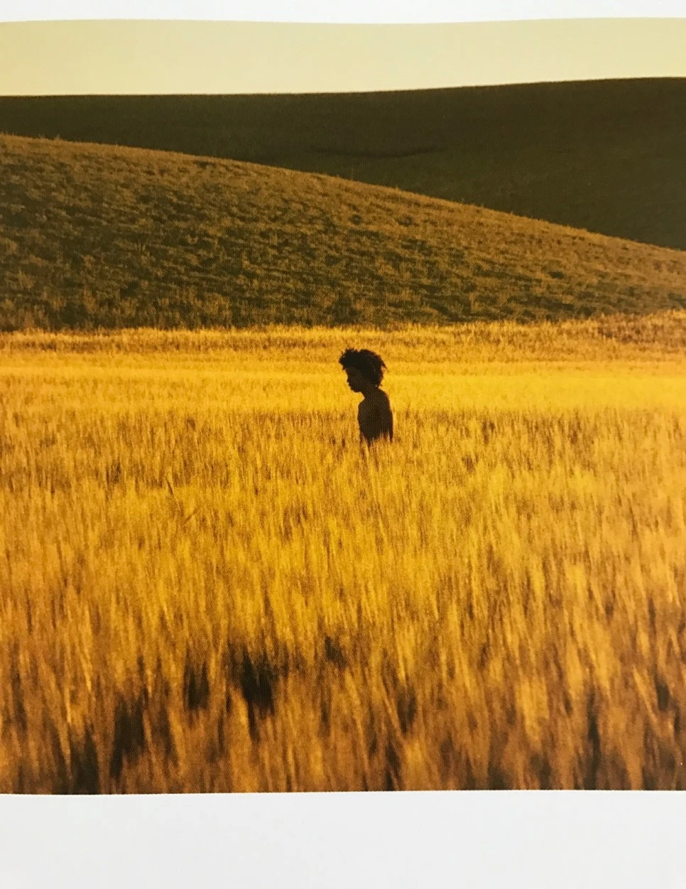 se3_image_3216679091.jpg?type=w966