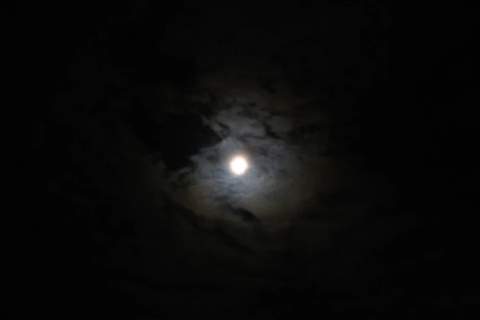 NaverBlog_20150531_020704_05.jpg?type=w1