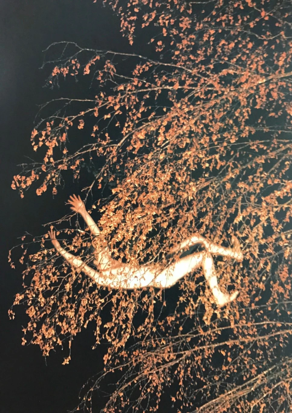 se3_image_3265658185.jpg?type=w966