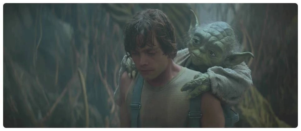 attachImage_200195224.jpeg?type=w966