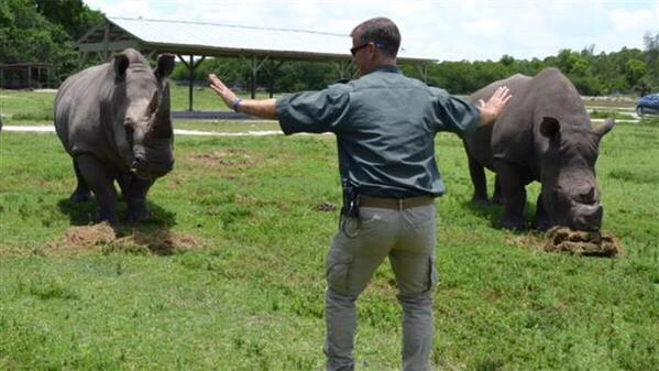 NaverBlog_20150620_004359_08.jpg?type=w1