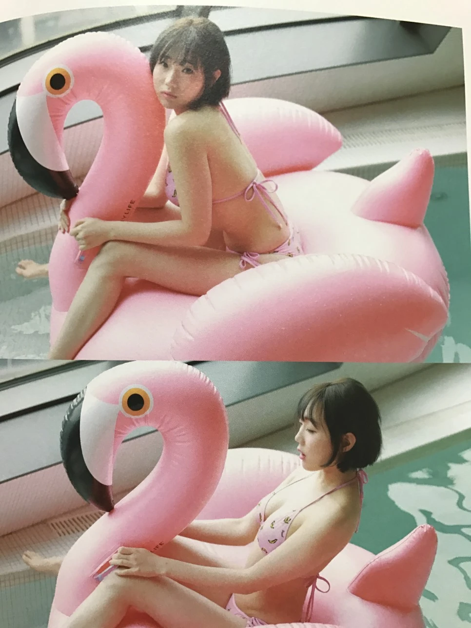 IMG_3071.JPG?type=w966