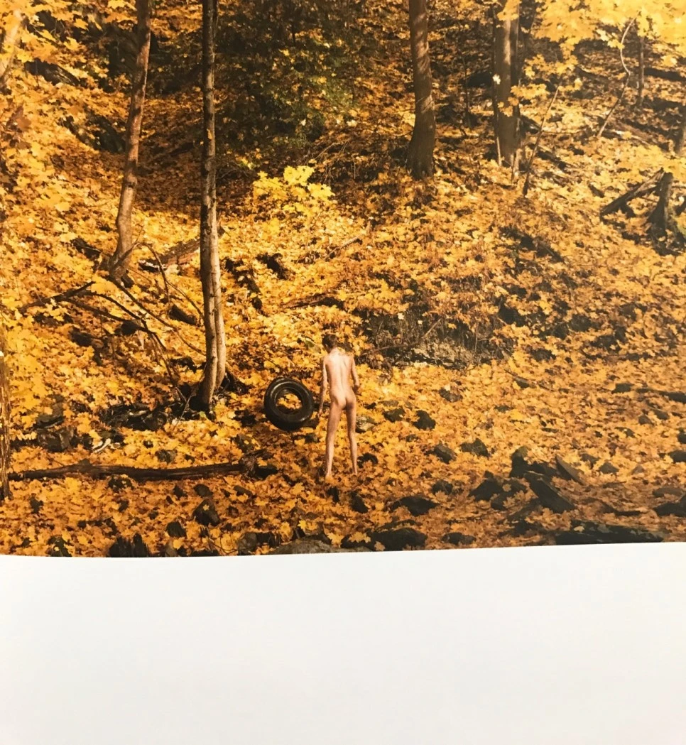 se3_image_437944421.jpg?type=w966