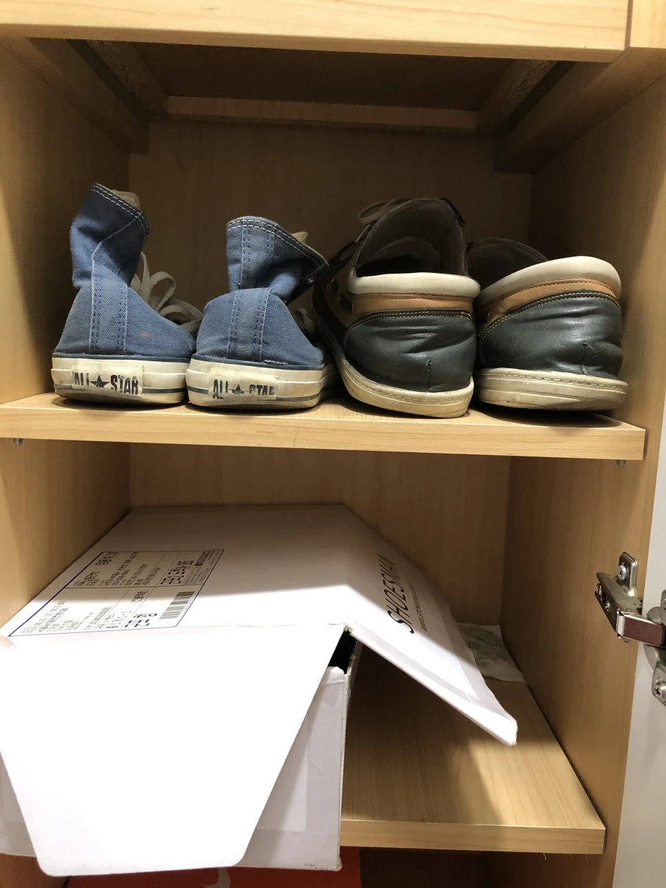 IMG_3510.JPG?type=w966