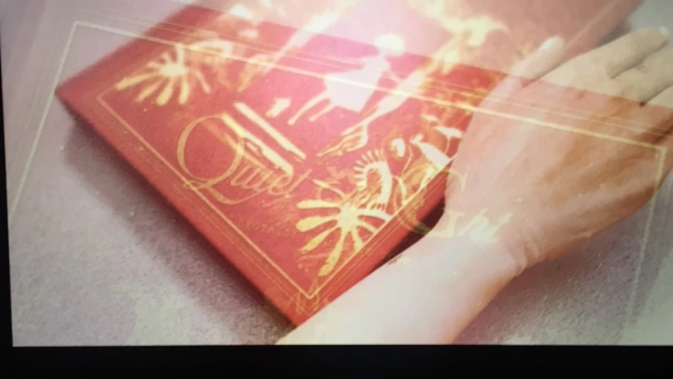 attachImage_2798493816.jpeg?type=w966