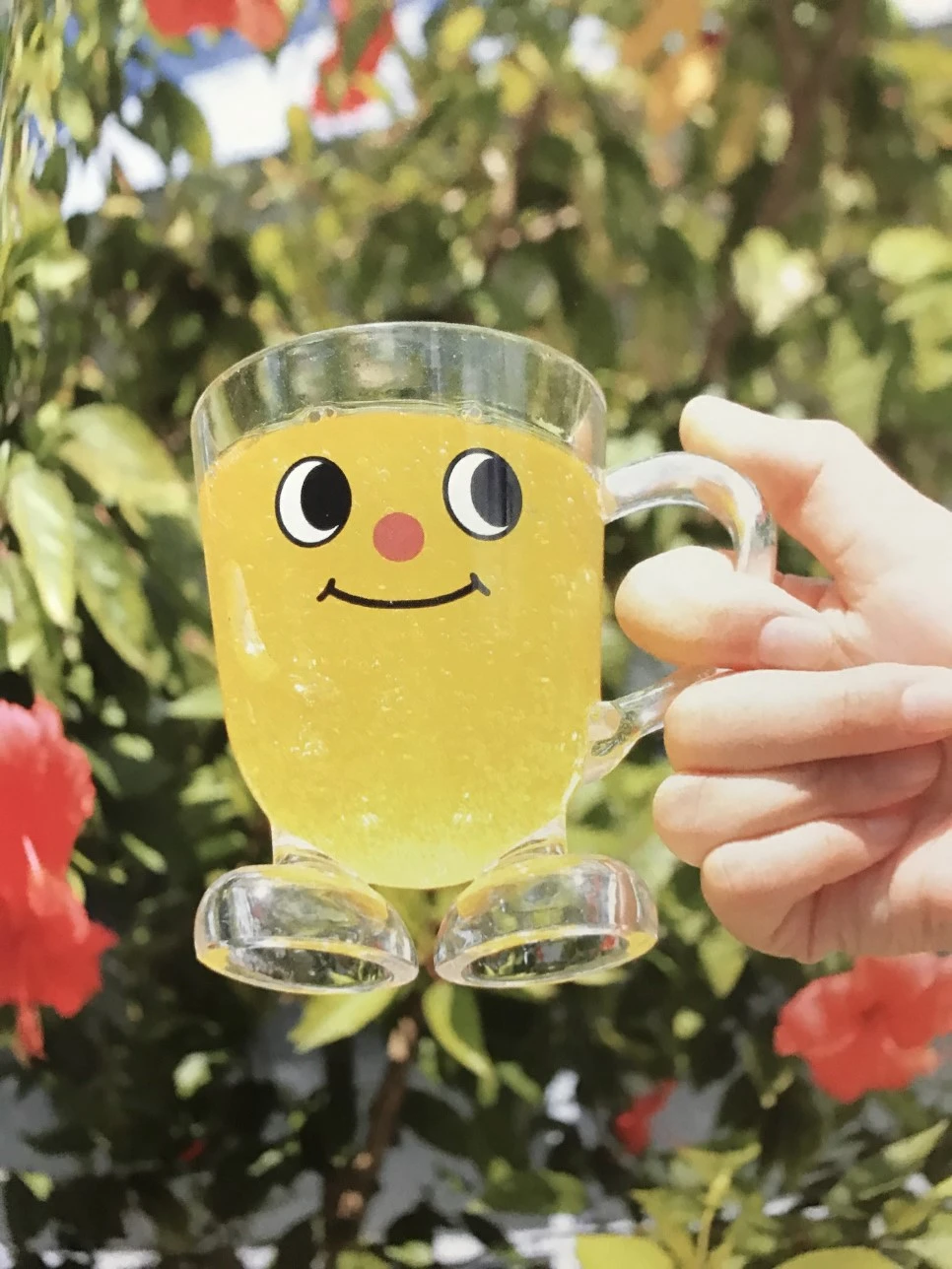 IMG_5470.JPG?type=w966